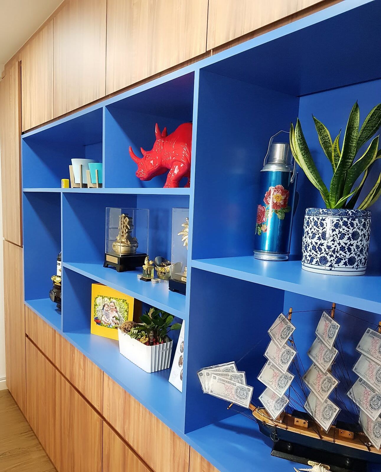 Blue and oak display shelving built by Modern 9